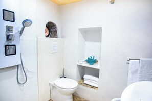 Regadera, secadora de cabello, bidet, toallas 