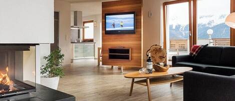 Smart TV, fireplace, books