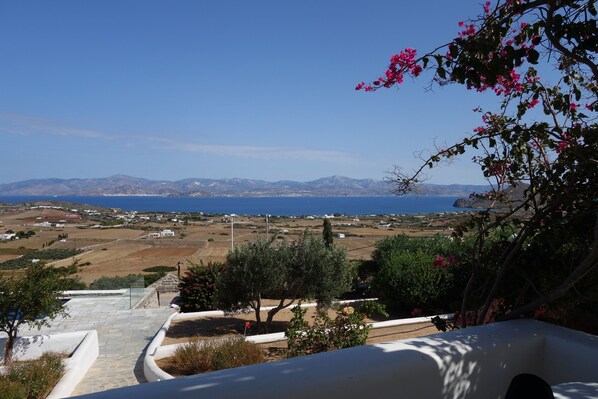 Vista desde la propiedad