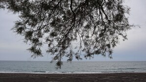 Une plage au sable sombre, bordée par les vagues de l’océan.