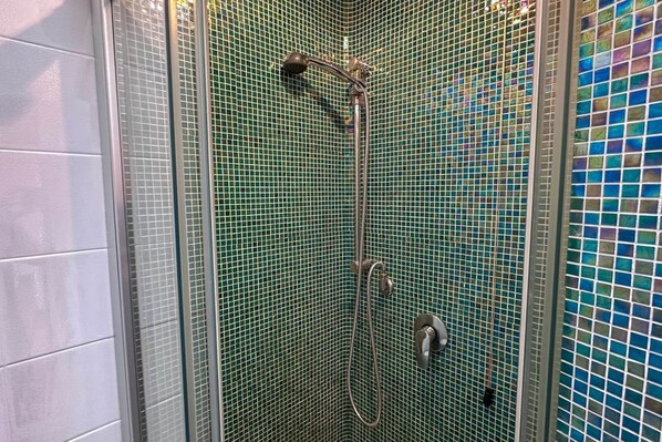 Shower, hair dryer, bidet, towels