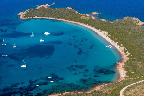 Beach nearby - Apartment Mare Nostrum - Stunning View to Capo Coda Cavallo (Capo Coda Cavallo)