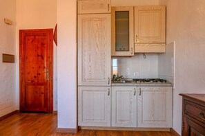 Fridge, microwave, stovetop, electric kettle