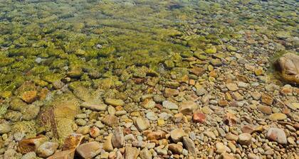 Villa El Haouaria : Private swimming pool, between Sky and Sea