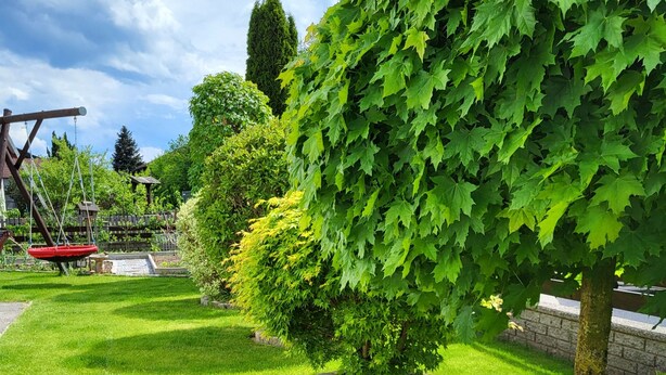 A well-maintained garden with neatly trimmed grass, a variety of trees, and a swing set. - Neu Renovierte Ferienwohnung, 50qm, mit Vollausgestatteter Küche (Eggstätt)