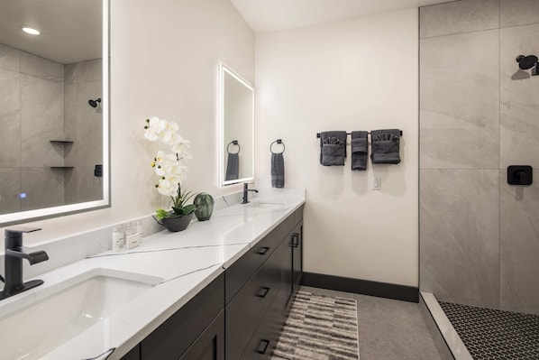 Shower, hair dryer, towels