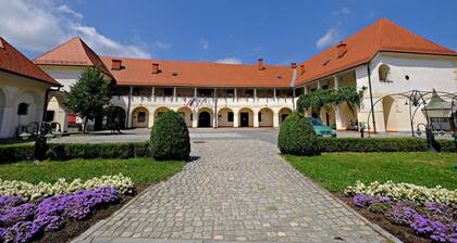 Eco Farm Mikl Pine Tree Apartment