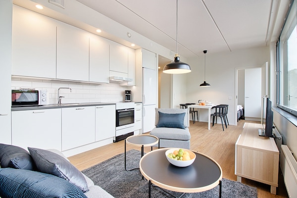 Standard Apartment, 1 Bedroom | Private kitchen