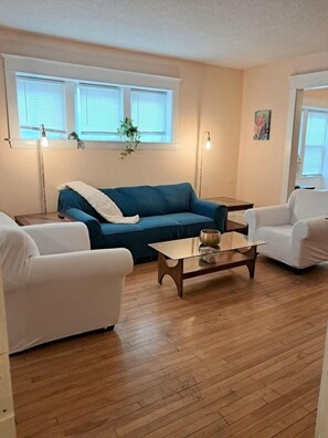 TV - Siyeh Sage Flat DT Minneapolis (Minneapolis)