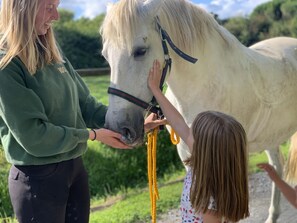 A person petting a white horse with a yellow lead rope.
