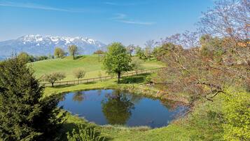 Un paisaje sereno con un estanque, árboles y una montaña al fondo.