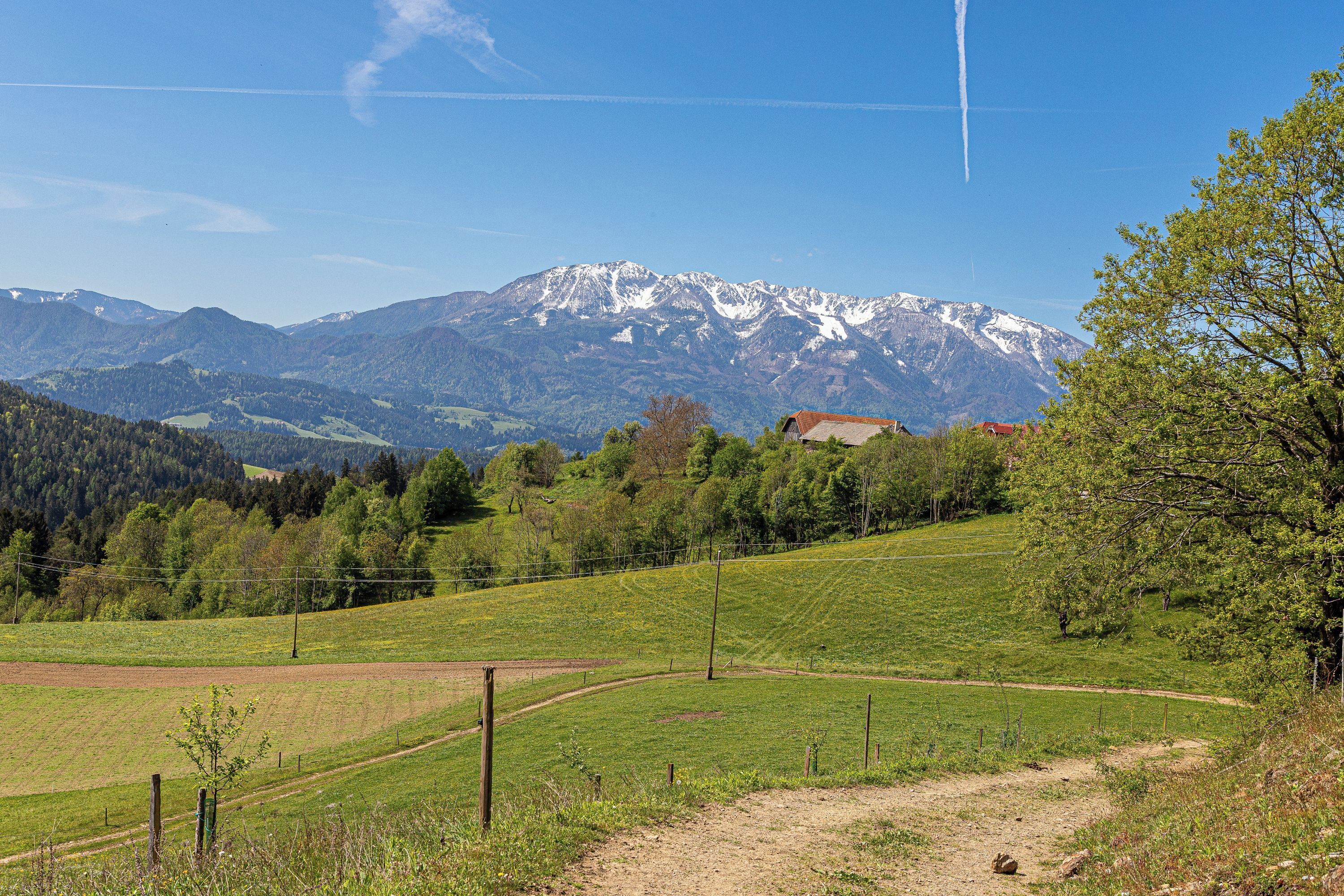 Un paisaje rural con un camino de tierra, campos verdes y una cordillera al fondo.