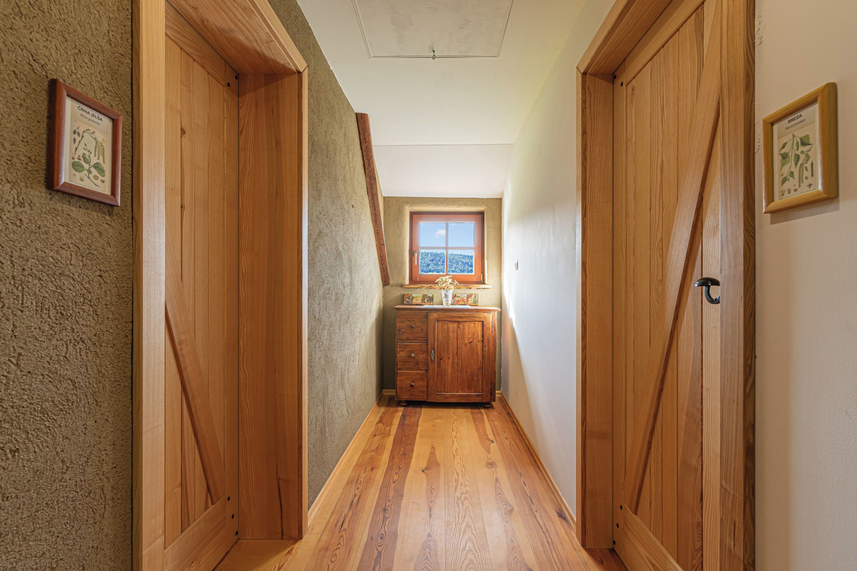 Studio familial, balcon, vue sur la montagne (Suite Alder embraced by nature) | Intérieur