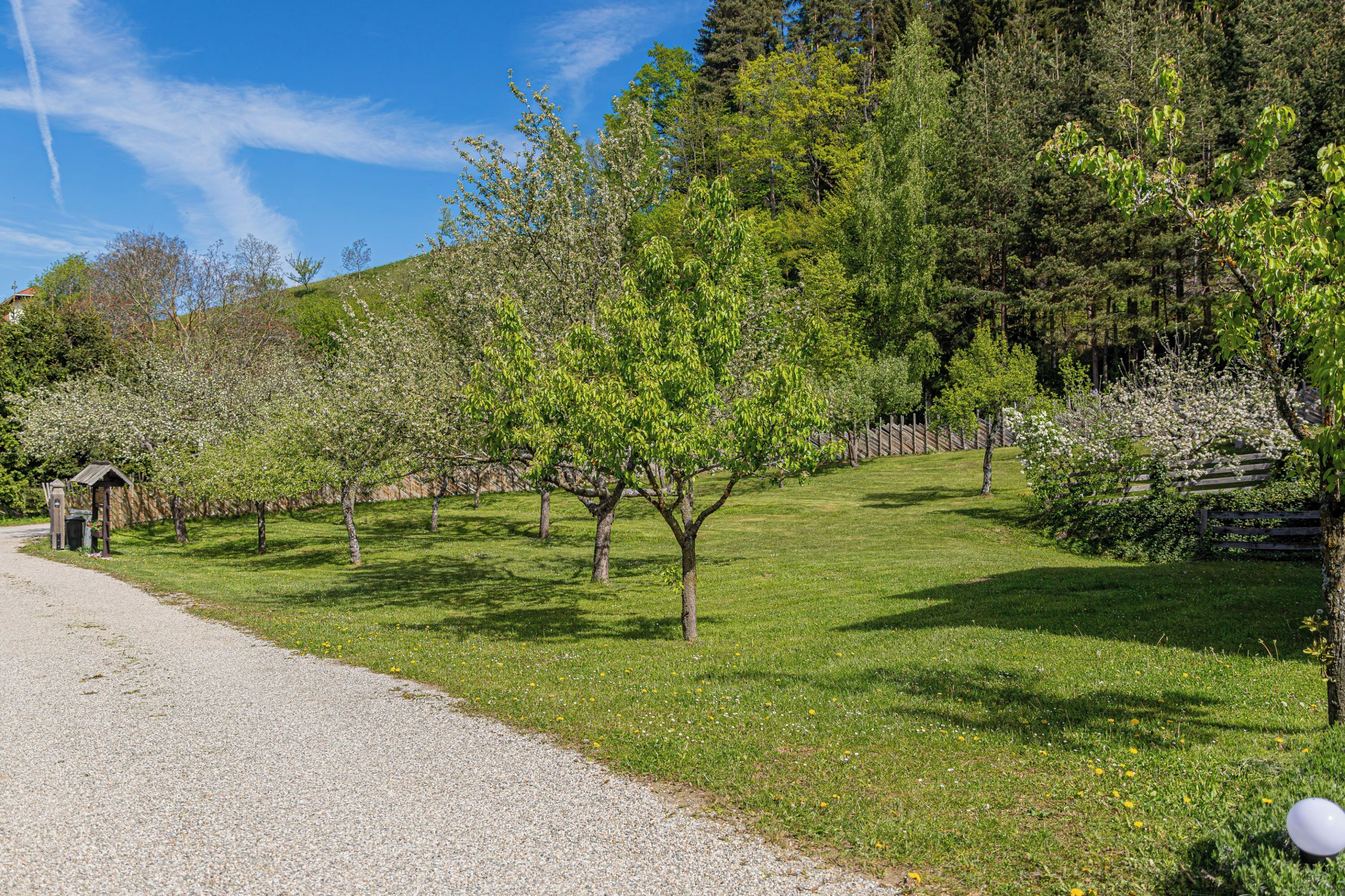 A gravel path leading through a park with trees and a wooden structure.