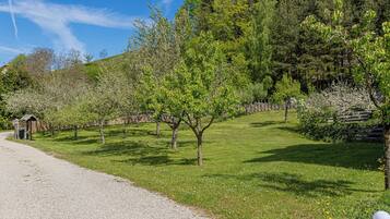A gravel path leading through a park with trees and a wooden structure.