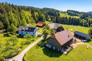 Exterior - Suite Alder embraced by nature (Prevalje)