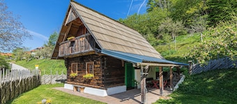 Suite Alder embraced by nature