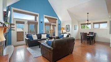 TV, fireplace, video games, DVD player