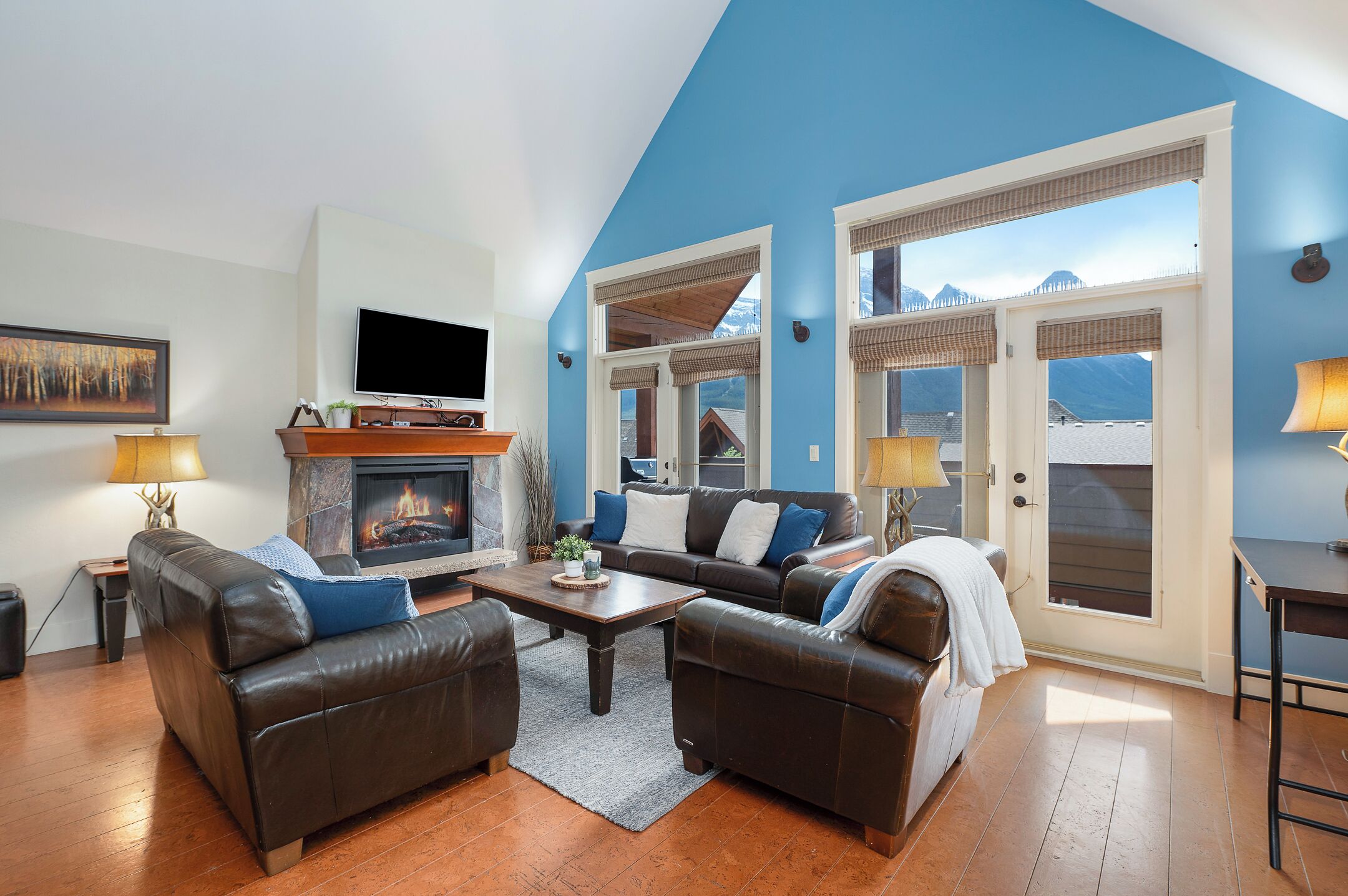 TV, fireplace, video games, DVD player