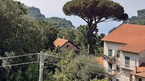 Um bairro residencial com casas, uma árvore grande e colinas ao fundo.