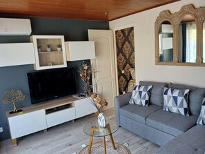 Smart TV, fireplace, DVD player