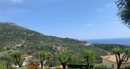 Eze Villa With a Gorgeous Sea-side View. Pet Friendly!