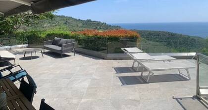 Eze Villa With a Gorgeous Sea-side View. Pet Friendly!