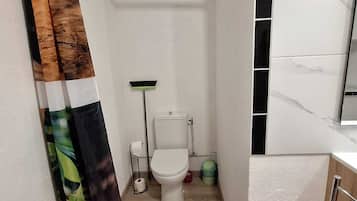 Douche, sèche-cheveux, serviettes fournies, papier toilette