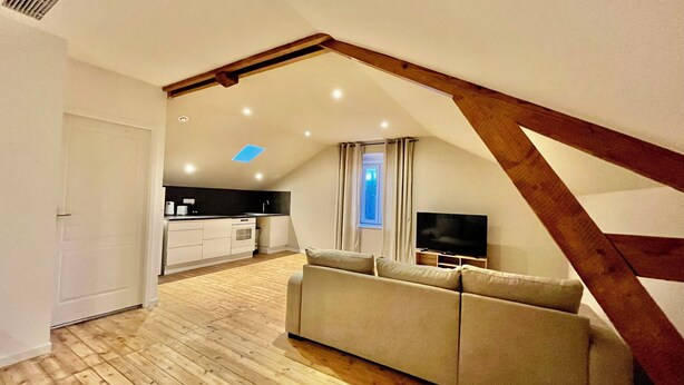 Un loft moderno con piso de madera, un sofá, un televisor y una cocina al fondo.