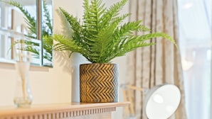 A potted fern on a wooden surface with a mirror and a light fixture in the background. - Spacious 3-bed House in Birmingham (Birmingham)