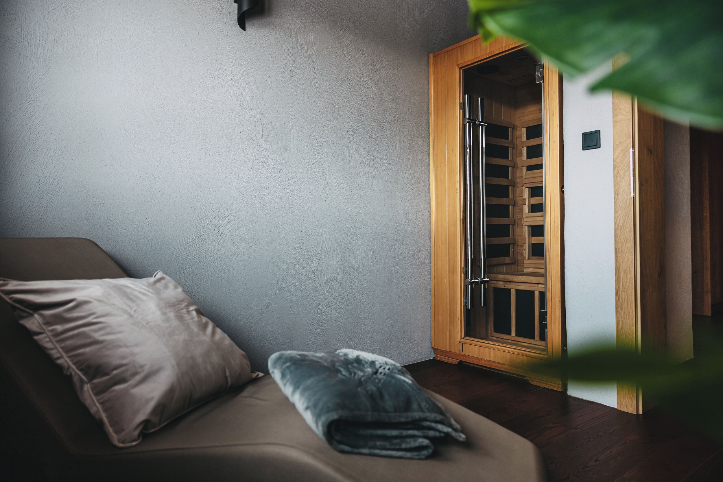 A room with a bed, a wooden door, and a plant.