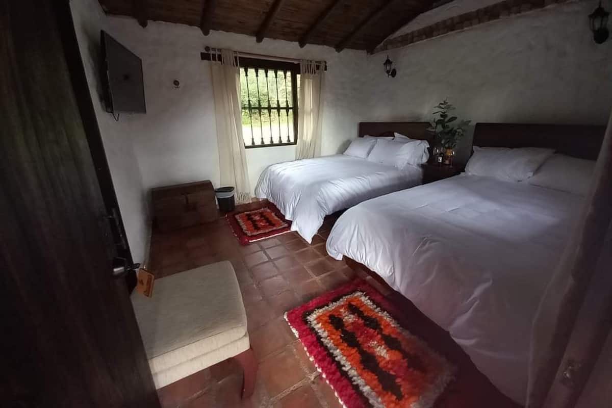 A bedroom with two beds, a wooden ceiling, a window with curtains, and a small table with a plant.