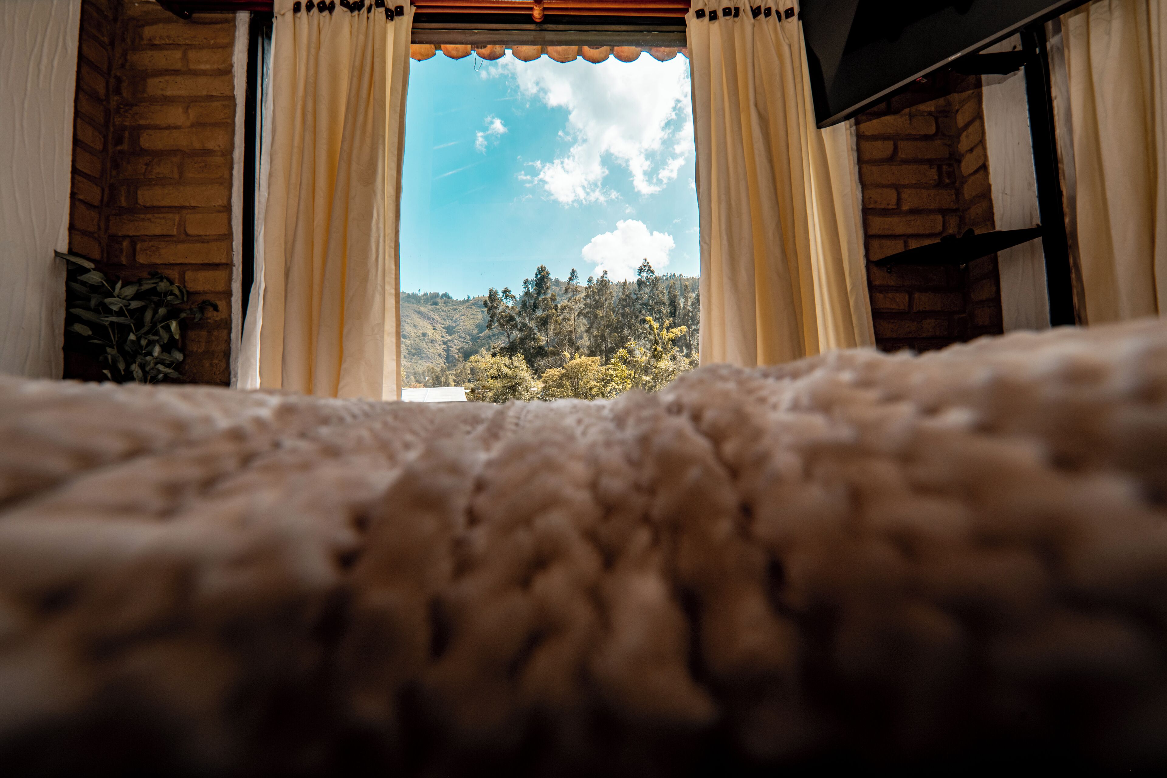 Draps en coton égyptien, literie de qualité supérieure