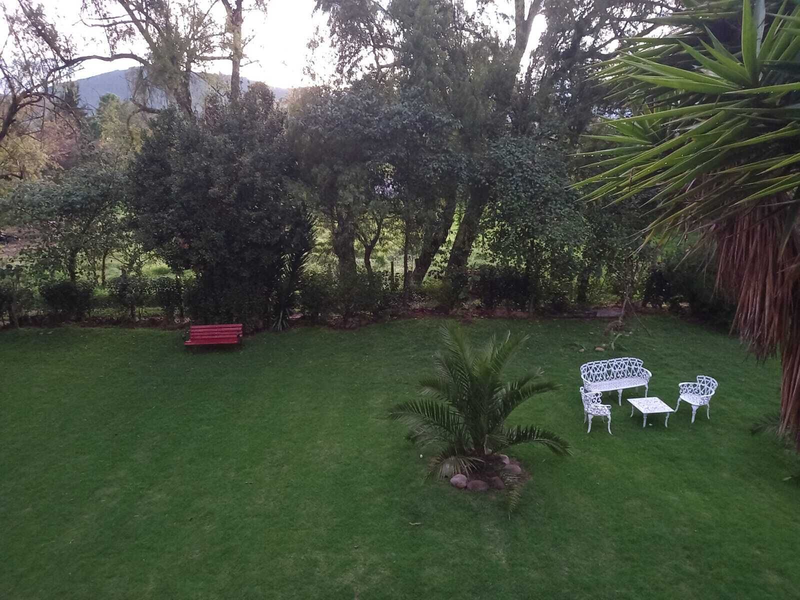 A grassy outdoor area with a red bench, a small palm tree, and white metal chairs and tables.