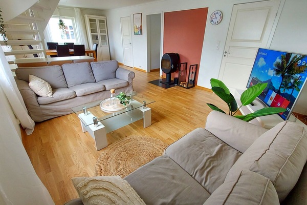 Cosy and bright living room with fireplace and TV