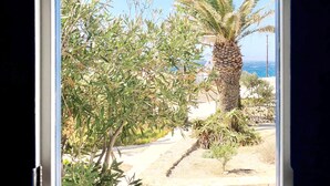 A window with a view of a garden with a palm tree and various shrubs. - Baba Houlakia (Mykonos)