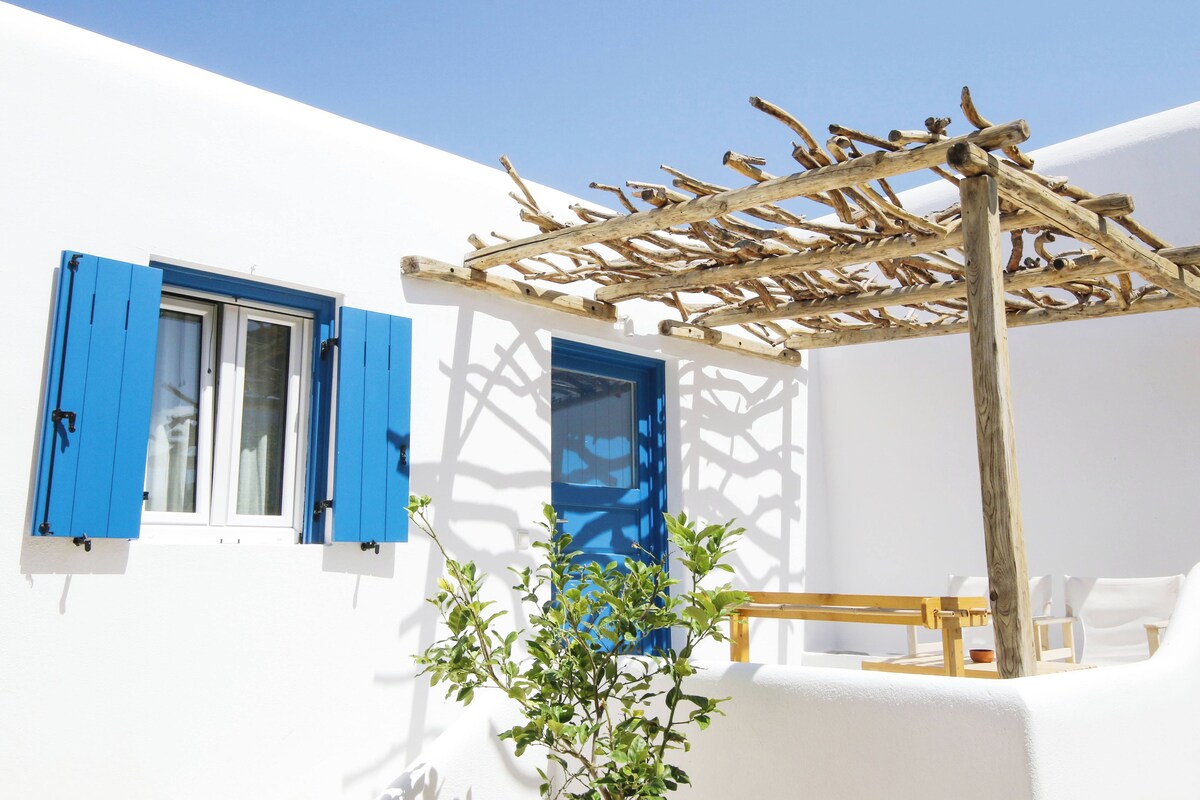 A white building with blue shutters, a wooden pergola, and a small plant.