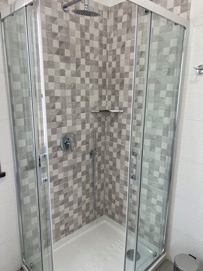 Shower, hair dryer, bidet, towels