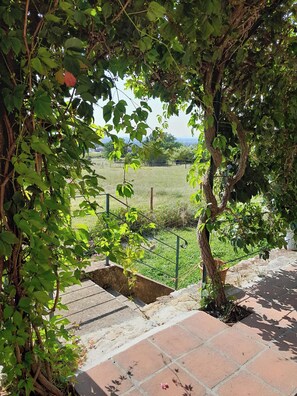 Property grounds - Gîte Provençal à la Campagne, Gorges de L'ardèche, Pont du Gard et Avignon (Saint-Marcel-d'Ardèche)