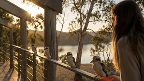 A wooden deck with a railing, overlooking a body of water and trees. - Glasshouse Lake Eildon Architectural Retreat (Taylor Bay)