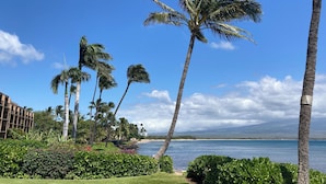 Un hotel frente al mar con palmeras, vista a la playa y cielo despejado.