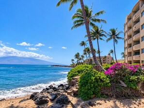 A beachfront hotel with a view of the ocean, palm trees, and a mountain in the distance. - Where Oceans Whisper Maalaea Oceanfront Condo Lanai Ocean Views and Pool (Maalaea)
