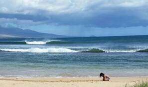 Beach - Prime Location for Oceanfront Lovers (Maalaea)