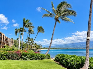 A beachfront hotel with palm trees, a clear blue sky, and a view of the ocean. - Where Oceans Whisper Maalaea Oceanfront Condo Lanai Ocean Views and Pool (Maalaea)