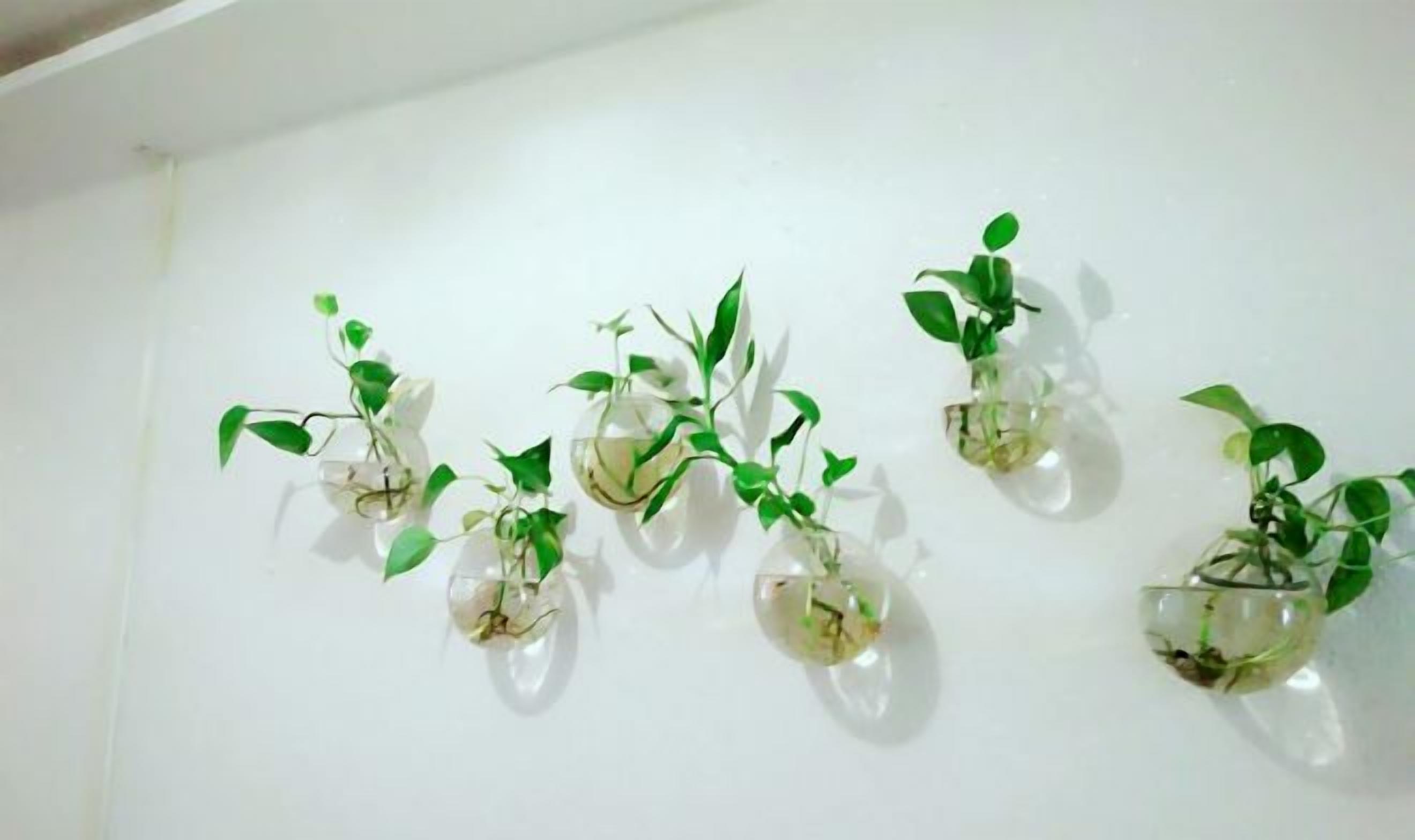 内部细节