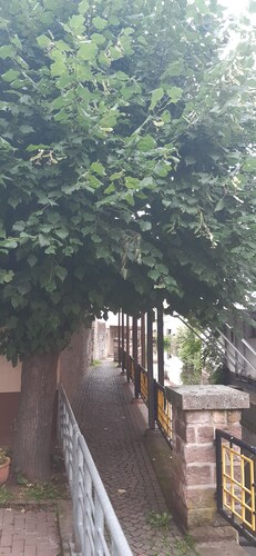 Ferienwohnung Seinerzeit 