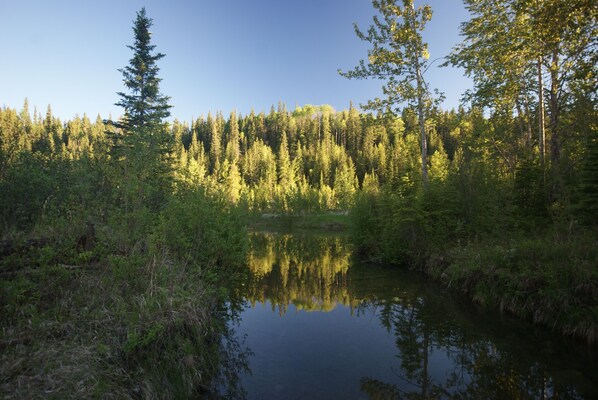 A serene forest scene with a calm lake reflecting trees and sky. - Tent and RV site #1 on the James River at Stark Ranch Resort Site (James River Bridge)