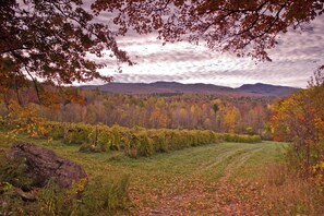 Miscellaneous - A Cottage Minutes From Mad River Glen and Sugarbush  (Huntington)