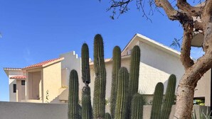A desert landscape with a large cactus in the foreground, a tree to the right, and a building with a red roof in the background.
