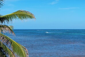 Beach - Tranquil Oasis: Stylish 1BR Condo in Ambergris Caye! (San Pedro Town)